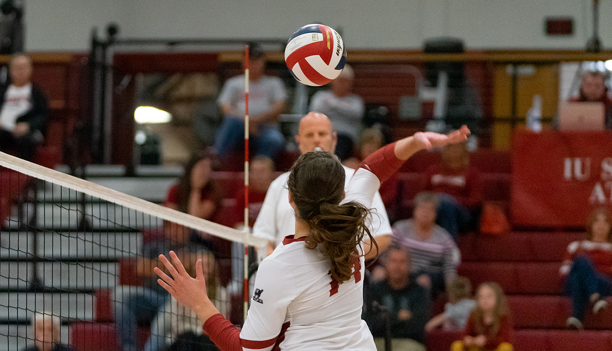 Grenadiers Sweep Alice Lloyd Saturday